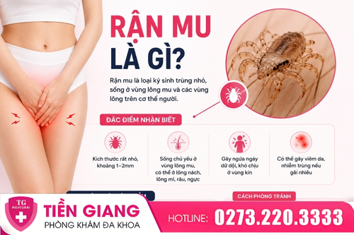 Rận mu là gì?