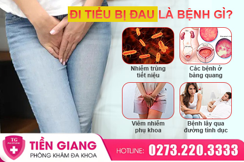 Tiểu Đau Kéo Dài Cảnh Báo Bệnh Gì? Tư Vấn Cách Khắc Phục